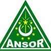 Logo Ansor